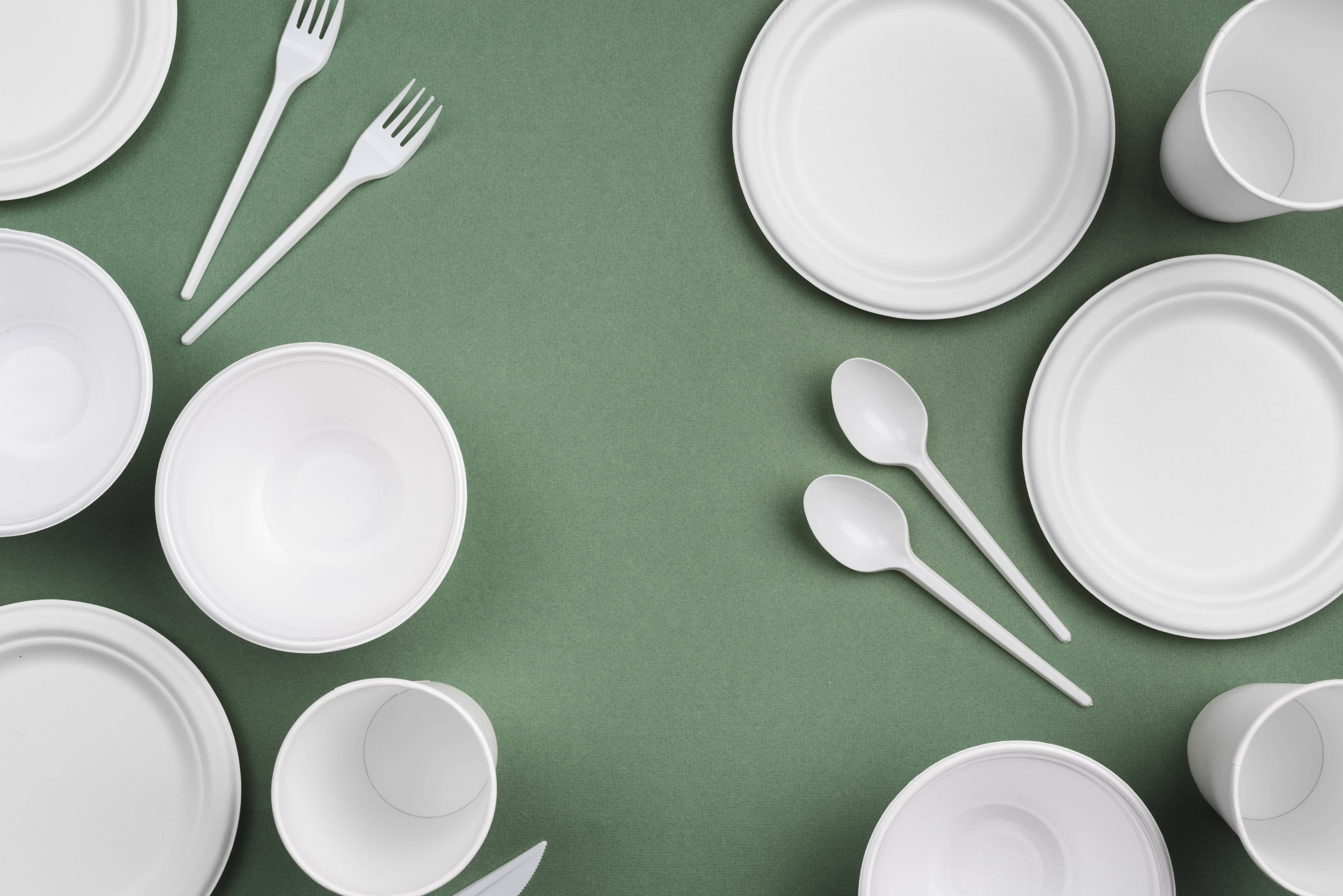 Paper Plates (Small, Medium, Large)